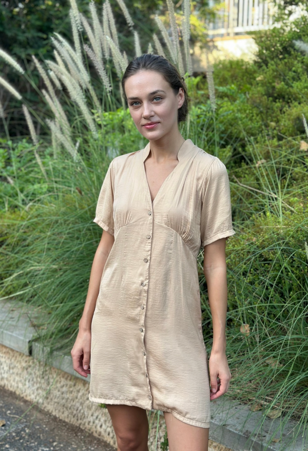 Lee camel  dress